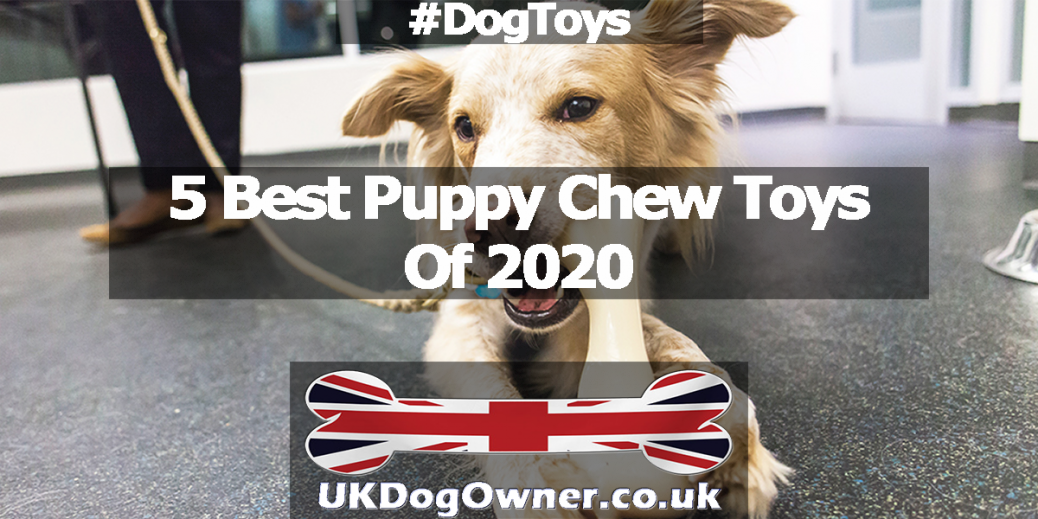 best puppy toys uk