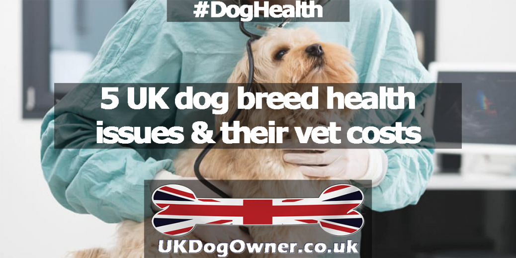 5 UK Dog Breed Health Issues & Their Vet Costs | UK Dog Owner
