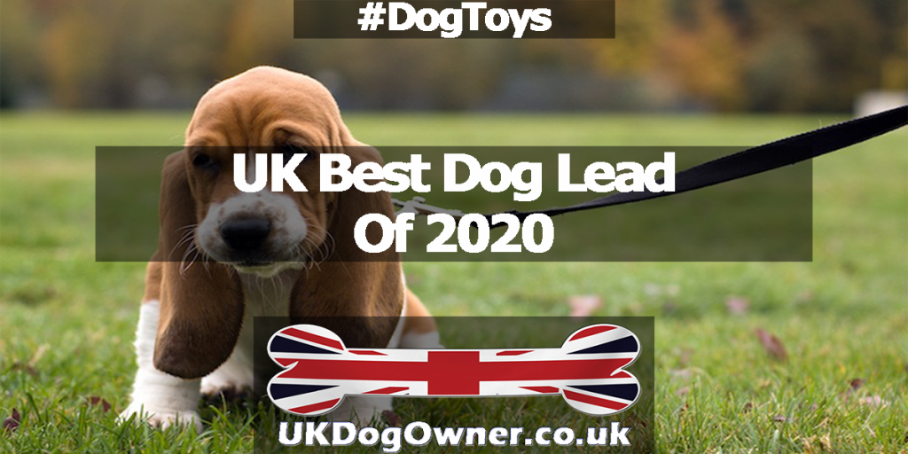 UK best dog lead of 2020